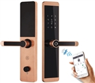 Khóa Vân Tay Kassler KL 600 Màu Đồng - App Điện Thoại,Nơi Khóa Vân Tay Kassler KL600, Khóa Cửa Cổng Kassler KL-579, Khóa vân tay Kassler KL-668, Khóa vân tay Kassler KL-669, Khóa Vân Tay Kassler KL- 600, Khóa Vân Tay Kassler KL 600, Khóa Vân Tay Kassler KL 600, Khóa vân tay Kassler KL-700, Khóa Vân Tay Kassler KL-789, Khóa Vân Tay Kassler KL-868, Khóa Vân Tay Kassler KL-888