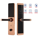 Khóa Vân Tay Kassler KL 600 Màu Đồng - App Điện Thoại,Nơi Khóa Vân Tay Kassler KL600, Khóa Cửa Cổng Kassler KL-579, Khóa vân tay Kassler KL-668, Khóa vân tay Kassler KL-669, Khóa Vân Tay Kassler KL- 600, Khóa Vân Tay Kassler KL 600, Khóa Vân Tay Kassler KL 600, Khóa vân tay Kassler KL-700, Khóa Vân Tay Kassler KL-789, Khóa Vân Tay Kassler KL-868, Khóa Vân Tay Kassler KL-888