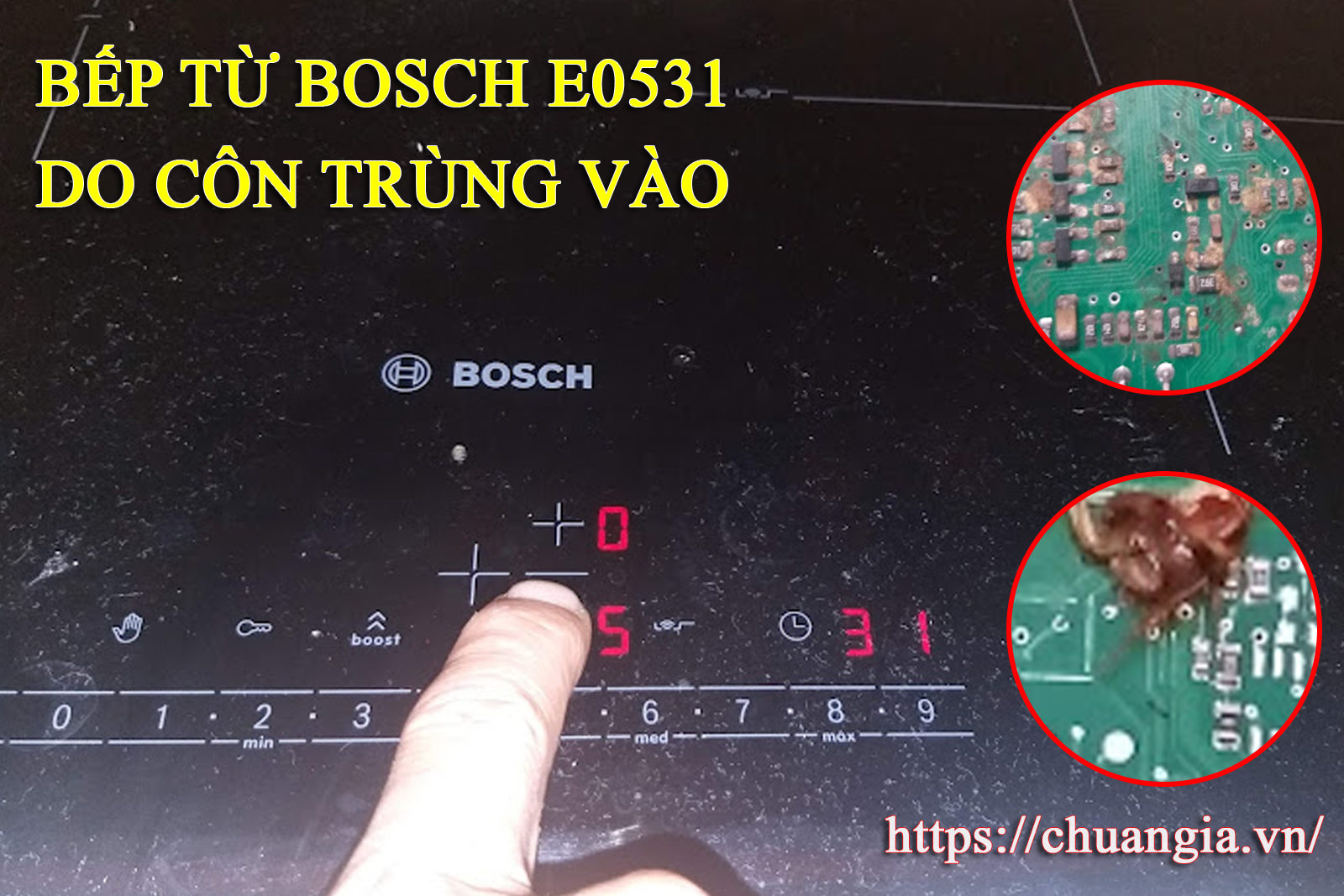 Bếp Từ Bosch Lỗi E, Bếp Từ Bosch Lỗi E0531, Bếp từ bosch lỗi e22, Bếp Từ Bosch Lỗi bàn phím, Bếp Từ Bosch Lỗi mạch điều khiển, bếp từ bosch bị liệt phím bấm, bếp từ bosch không lên nguồn, Bàn phím bếp từ bosch bị lỗi, Bàn phím bếp từ bosch không bấm được, Bàn phím bếp từ bosch bị liệt, cách khắc phục Bếp Từ Bosch Lỗi E, Bếp từ Bosch báo lỗi E, cách khắc phục Bếp Từ Bosch Lỗi E0513, cách khắc phục Bếp Từ Bosch Lỗi liệt phím ấn, cách khắc phục Bếp Từ Bosch không lên nguồn