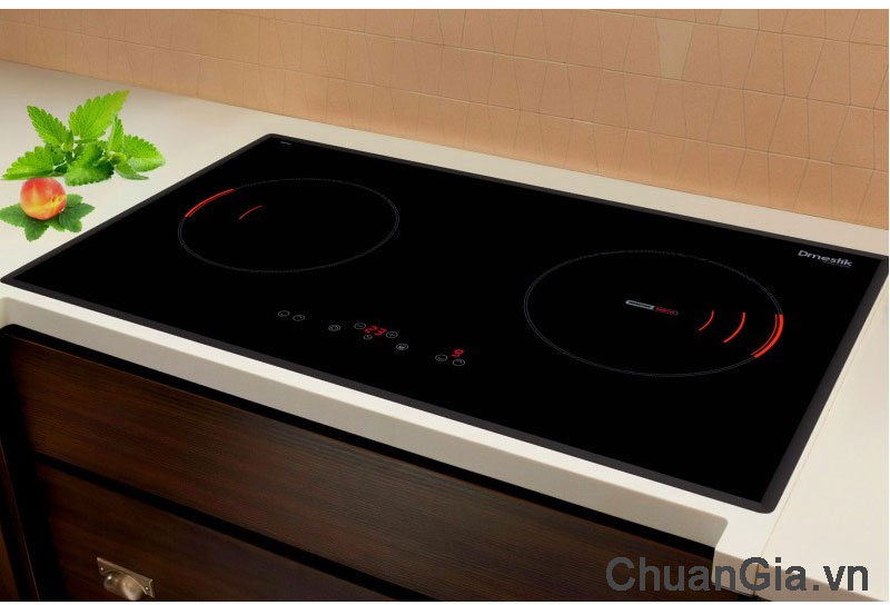 Bếp Hai Từ Dmestik ES722 DKI