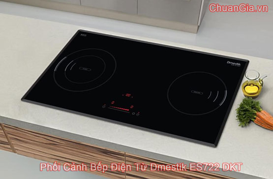 Bếp Từ Dmestik ES722 DKT, bếp điện từ đôi, bếp hồng ngoại, bếp điện từ loại nào tốt, bep dien tu am, bêp từ kết hợp hồng ngoại, so sánh bếp điện từ và bếp hồng ngoại, bếp điện từ tốt nhất, bếp 1 điện 1 từ